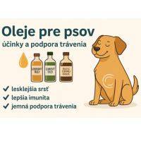 Infografika: doplnky pre zdravie psov a ich účinky