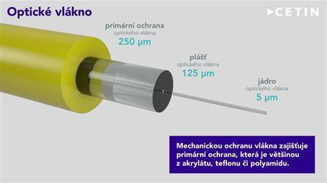Infografika o typoch svietiacich obojkov: LED pásik, optické vlákna, hybrid