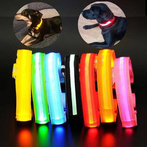 Porovnanie LED obojku vs. reflexného obojku: výhody a nevýhody