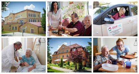 Ilustratívne fotky výživy a starostlivosti o srst jagdteriéra