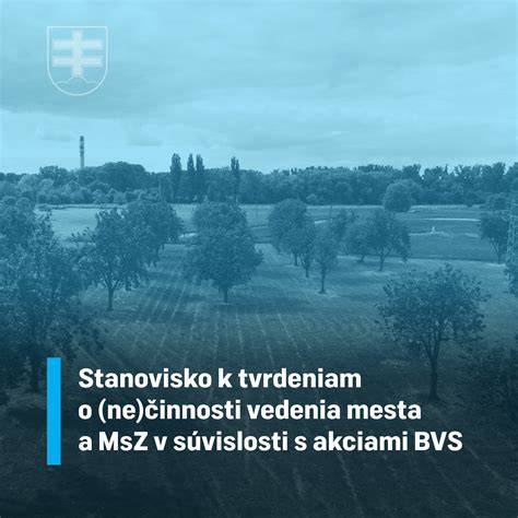 Infografika: Stručný prehľad darovacej zmluvy na psa - hlavné kroky a zodpovednosti