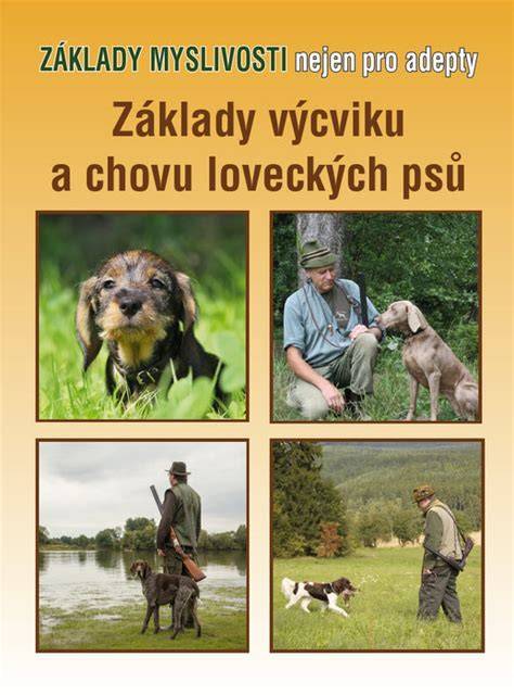 Infografika: základy výcviku labradora (pozitívne posilňovanie, socializácia)