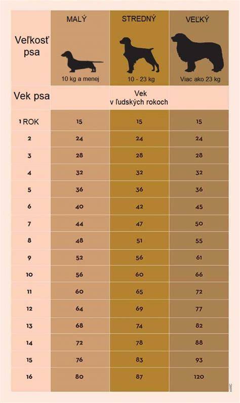 Infografika: Vzorec a tabuľky pre prepočet psích rokov na ľudské roky