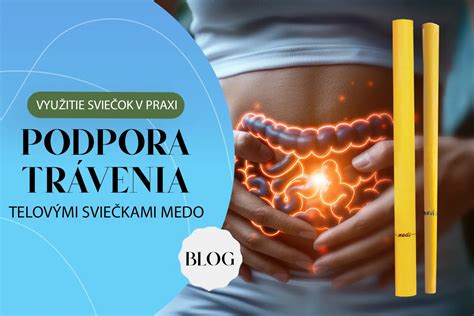 Ilustrácia psích tráviacich problémov