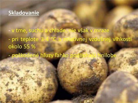 skladovanie pistácií v suchu a chlade - infografika