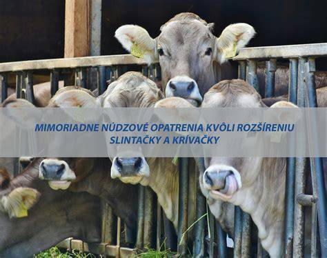 Tabuľka: bežné ochorenia boxera a preventívne opatrenia