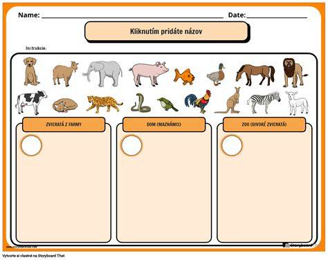 Infografika: Spôsoby posledného rozlúčenia so zvieratami