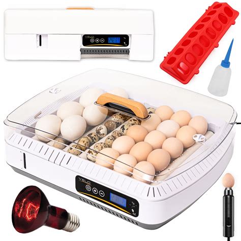 Schéma kombinácie krmítok pre rôzne druhy hydiny