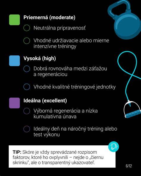 Infografika: Tipy na socializáciu a tréning labradora