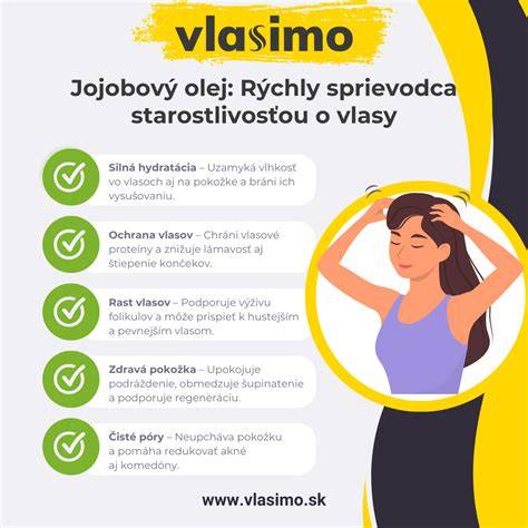 Infografika: Základné tipy pre starostlivosť o labradora počas prvého roku života