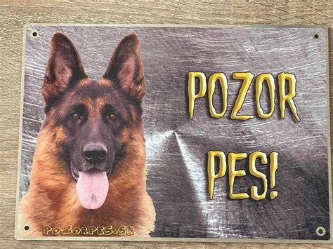 Infografika: Význam a rozmery tabuliek Pozor pes