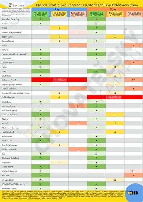 Infografika: typy vnútorných parazitov psov a ich vplyv na zdravie