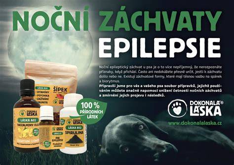 Schéma liečby epilepsie u psa: mono- a polyterapia
