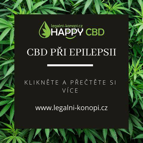 Infografika: CBD pri epilepsii u psov - čo treba vedieť