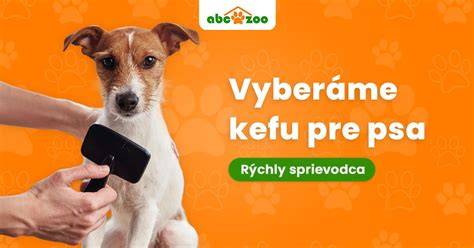 Infografika: Ako vyberať správnu starostlivosť pre Puli (typy srsti, čistenie, kŕmenie)