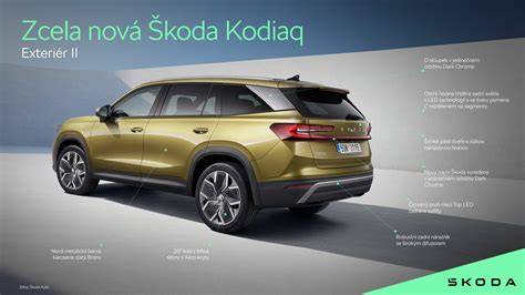 Infografika: Exteriér havanského psíka - hlavnè proporcie a štandard