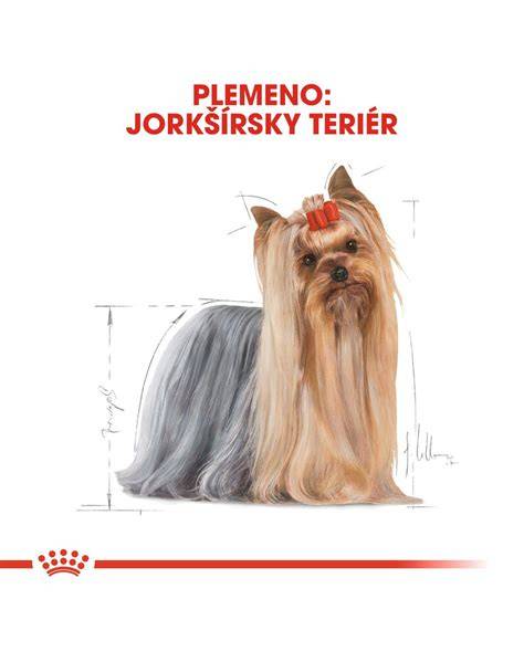 Infografika: Cesta vývoja jorkšírskeho teriéra od pracovného psa k spoločenskému plemenu