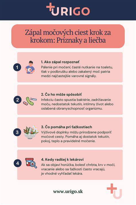 Infografika: Čo spôsobuje zápal močových ciest u psa a ako postupovať