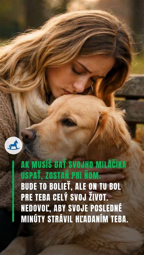 Infografika: Vzťah medzi svrbením, bolesťou a správaním psa