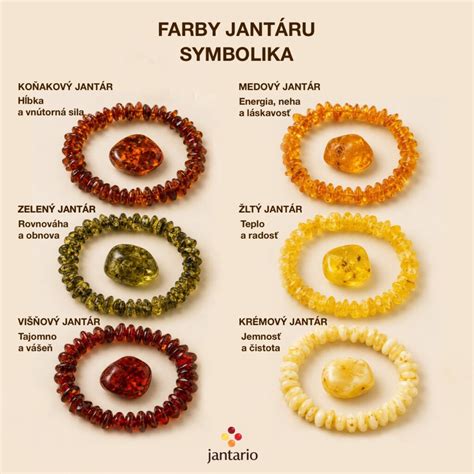 Infografika: Typické farby a črty Aussie