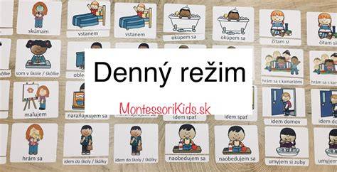 Infografika: denný režim kŕmenia a výcviku malého psa