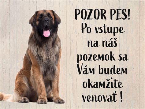 Ukážka rôznych tabuliek 