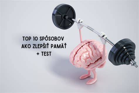 Infografika: Ako funguje pamäť psov a význam emócií pri väzbe s majiteľom
