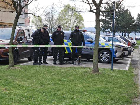 Obrázok z klubovej výstavy vo Veľkom Mederi a štyri plemená v typických trojfarebných maskách