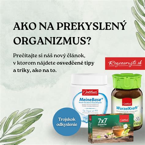 Schéma pôsobenia teobromínu na organizmus psa