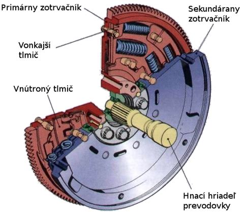 Schéma umiestnenia mikročipu na psovi