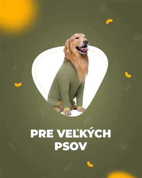 Infografika: Vnútorné protézy a kĺbové štruktúry veľkého psa