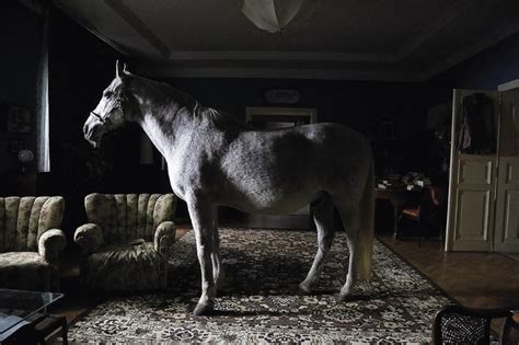 Scéna z filmu Marley a ja - rodina s Marleym v obývačke