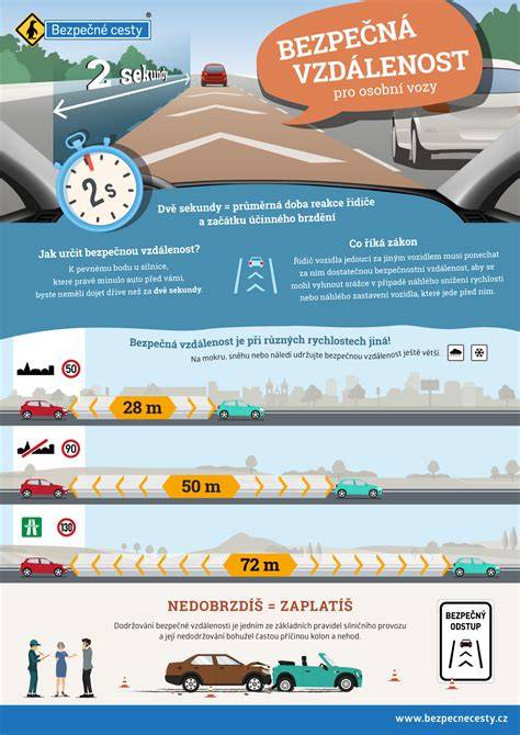 Infografika: Bezpečná venčiteľnosť psa v meste