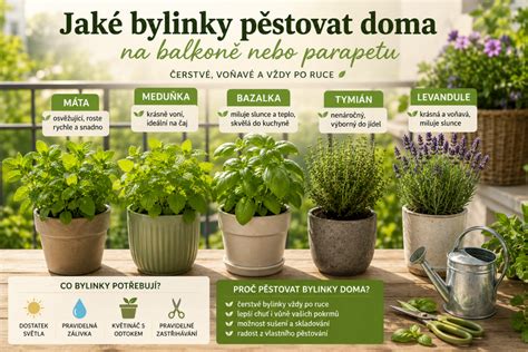 infografika: Bezpečné a rizikové bylinky pre psov