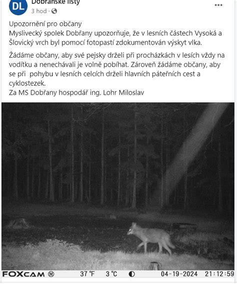 Porovnanie správania: čsv vs vlk