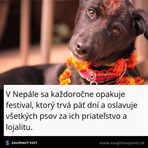 Infografika: Symbolika psov vo sne (priateľstvo, ochrana, varovanie, emócie)