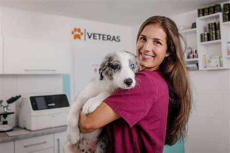 Infografika: Základný plán starostlivosti o psa (výživa, hygiena, aktivity, veterinárne prehliadky)