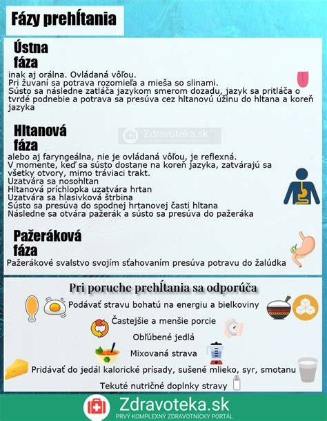 Infografika: Fázy pôrodu a typické prejavy sučky