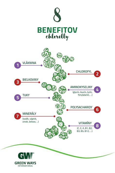 Infografika: Ako Foresto uvoľňuje účinné látky