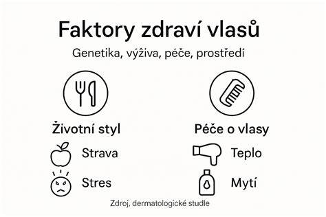 Infografika: faktory ovplyvňujúce dĺžku života labradora - strava, pohyb, zdravotné prehliadky, genetika, farba srsti