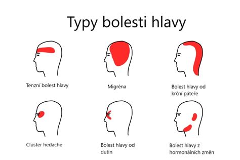 Detail hlavy šiperky s typickými ušami