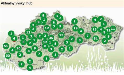 Mapa najlepších psích kúpaľísk a tipy na bezpečnosť