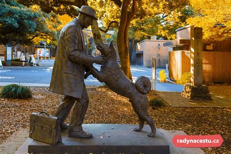 Socha psa Hačikó na stanici