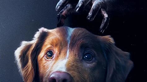 Pes ako hlavný hrdina hororu