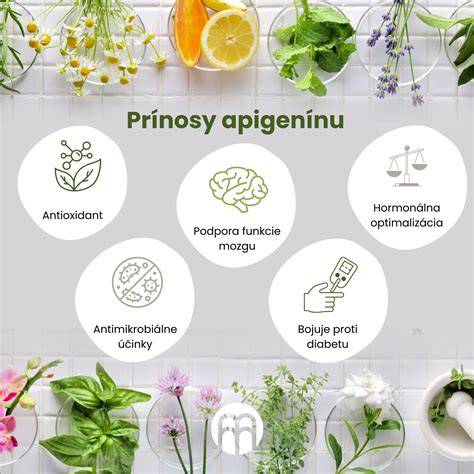 Infografika: Definícia kríženca a príklady v rastlinnej a živočíšnej ríši