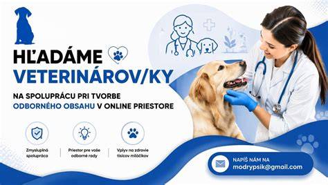 Infografika: Prehľad služieb veterinárnych ambulancií v Petržalke a salónov pre psov