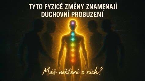 Infografika: fyzické a temperamentné znaky Zlatého retrívéra