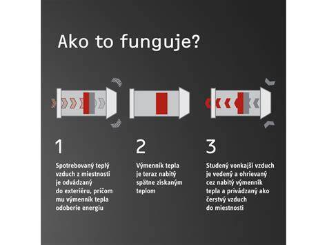 infografika: princíp fungovania elektrického obojku (zvuk, vibrácia, impulz)