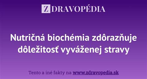 Ilustrácia vyváženej psiej stravy