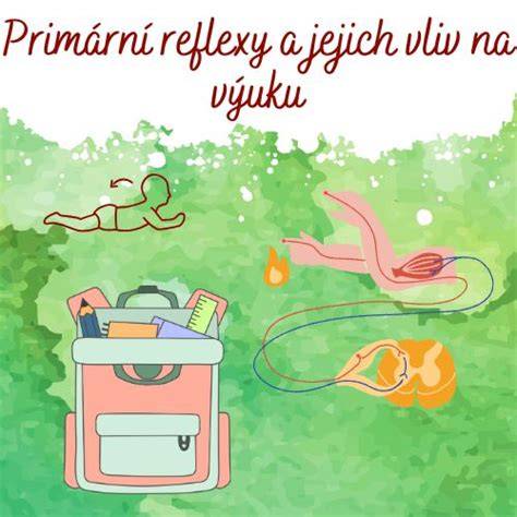 infografika_podmienené_reflexy.jpg
